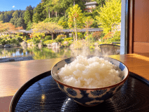 【10月滞在限定】　自家農園生産2026年新米　先着10組様プレゼント特典付きプラン