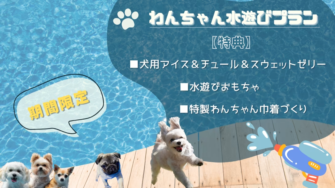 【選べる食事】《わんちゃん水遊びプラン》夏をもーっとたのしむ！嬉しい特典つき♪ワンちゃん用ひんやりアイス，水遊びおもちゃプレゼント,愛犬の肉球で作るオリジナル巾着etc~