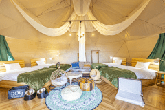 【愛犬同伴OK🐾／4ベッド】ステラドッグ -プライベートドッグラン付き-