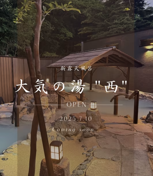 【温泉を満喫!!お手軽素泊まりプラン】★全国屈指の薬湯でリラックス★ 【温泉を満喫!!お手軽素泊まりプラン】★全国屈指の薬湯でリラックス★