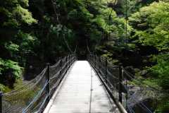 【1泊朝食付き】 【1泊朝食付き】