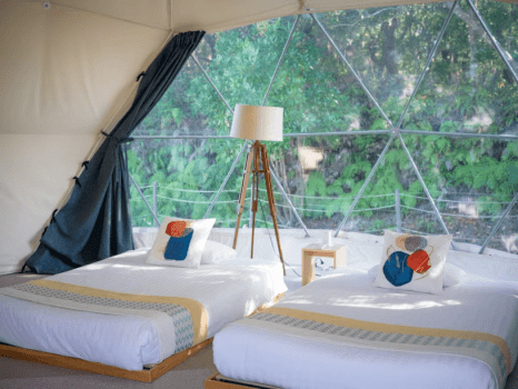 Premium 2-Bed