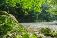 ◆ 日帰りBBQ ◆ 食材・ドリンク持ち込み自由 ◆ オプションにてテントサウナ利用可能