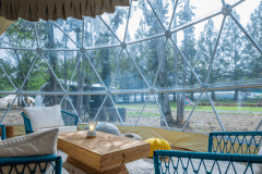 フォレストドーム【UN】