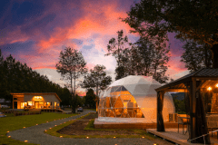 フォレストドーム【DEUX】