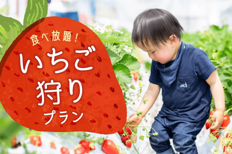 【いちご狩り／プレミアムBBQ】季節限定いちご狩りプラン！（1泊2食付き+翌日のアクティビティ）