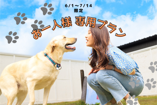 お一人様限定プラン♪愛犬とソログランピングを体験【選べるお食事スタイル♪】