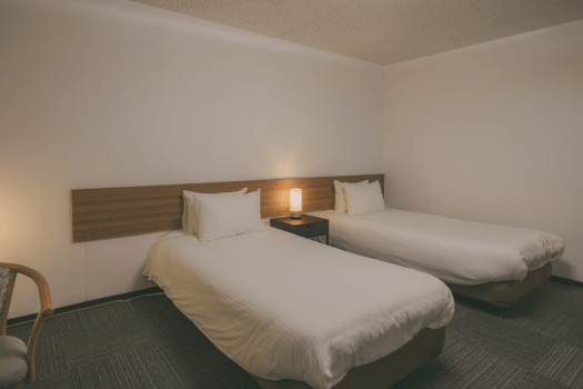 Western Room with 2 single beds - Toilet only