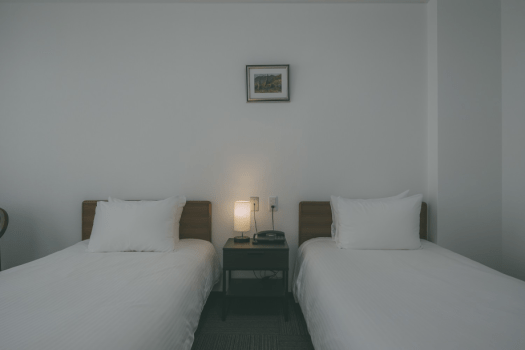 Western Room with 2 single beds - Bath and Toilet