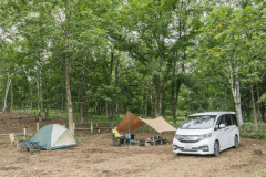 オートサイト（AC電源なし）