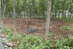 オートサイト（AC電源なし）