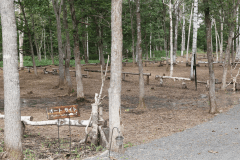 【車中泊専用】RVパークサイト（電源あり）