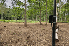 オートサイト（AC電源あり）