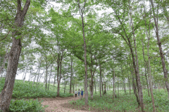 【車中泊専用】RVパークサイト（電源なし）