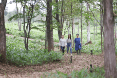 【テントサイト】ソロキャンプ限定!!