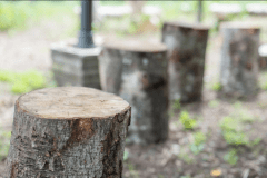 【車中泊専用】RVパークサイト（電源なし）