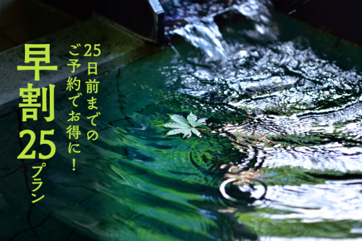 早割25プラン