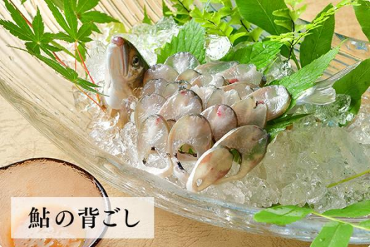 公式限定＆季節限定【鮎づくしプラン】夏のご馳走!!