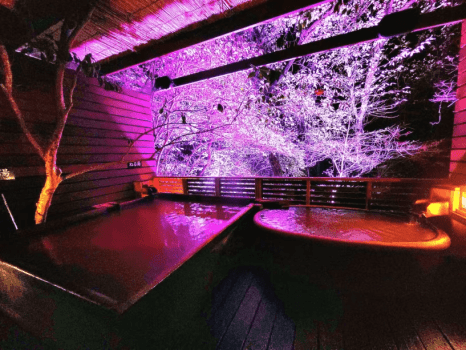 ☆【1泊朝食付】夕方は送迎車で温泉街へ夜は貸し切り露天風呂で至福のひと時を・・・朝食は総料理長拘りのハーフバイキングと名物炭火七輪焼！！チェックイン21:00迄