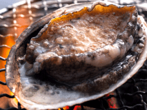 アワビイメージ