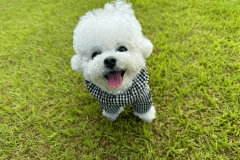 《直前割プラン》予定が空いた方必見！～14日以内のご予約でオトクに泊まれる・お出かけサポートプラン～【1日1棟限定・選べるお食事】～リゾグラ予約限定～