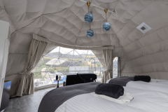 落ち着いた雰囲気のお部屋になっております