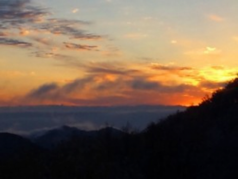 夕日