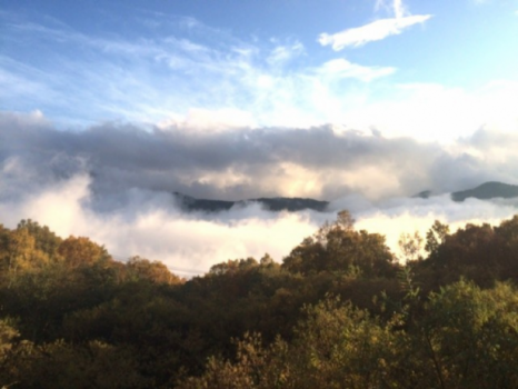 湧き上がる雲