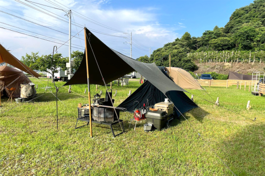 FREE AREA