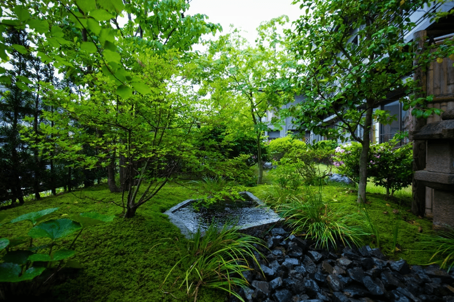 【一人旅】文人墨客に愛された湯河原で、自然と調和する極上のひとときを＜1泊2食＞ひとり旅プラン