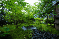 【一人旅】文人墨客に愛された湯河原で、自然と調和する極上のひとときを＜1泊2食＞ひとり旅プラン