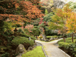 町立湯河原美術館の庭園散策路と紅葉