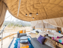 エグゼクティブスイート・シングルドーム8ｍ