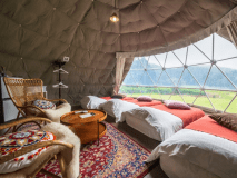 FOREST SIDE｜シングルドーム4ベッド