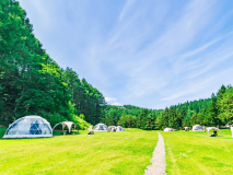 【早割30】FOREST SIDE｜ 憧れのドームテントで森時間をまるごと楽しむ特別なグランピング旅