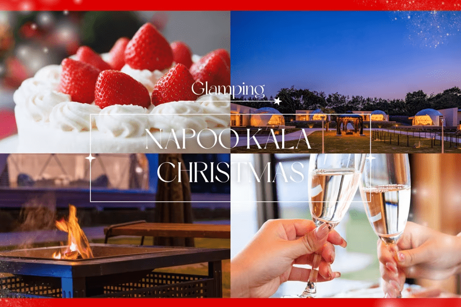 【1泊2食】〈クリスマスプラン〉あつあつチーズ料理＆ケーキを楽しむ🍰ホットワインで贅沢なひとときを🍷