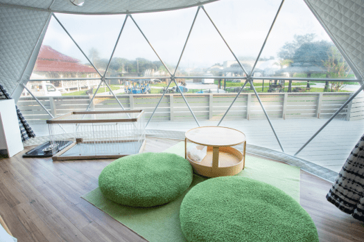 ＜Pet-Friendly＞■Dog Dome■