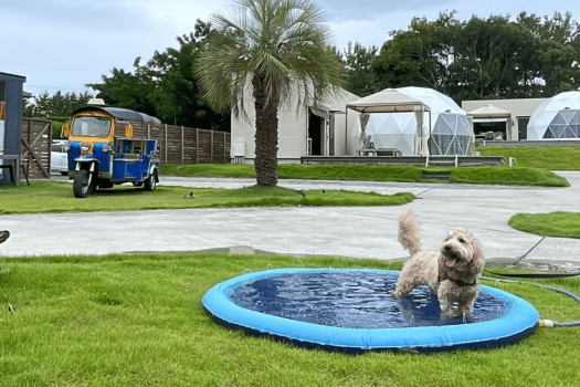 ＜Pet-Friendly＞■Dog Dome■