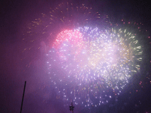 【2026赤谷湖上花火の日　3日日限定プラン】樋口は湖上花火の特等席☆ご夕食お部屋食♪温泉完全貸切利用OK♪