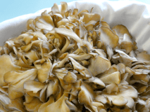 【舞茸三昧】みなかみ産ブランド舞茸で作る｛舞茸土瓶蒸し・舞茸春巻・舞茸ごはん｝付秋限定プラン