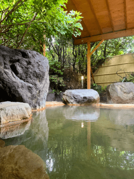 【日帰り】客室利用最大6.5時間&times;別府温泉&times;フリーWi-Fi 完備（夕食付）