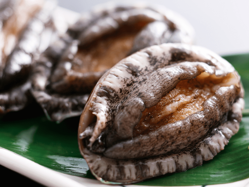 アワビ踊焼はお1人様に1枚付き（写真はアワビのイメージ）