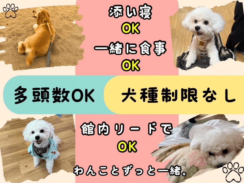 当館はわんちゃんとずっといっしょです♪ 当館はわんちゃんとずっといっしょです♪