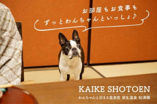お部屋も食事も大切なわんちゃんといっしょに♪