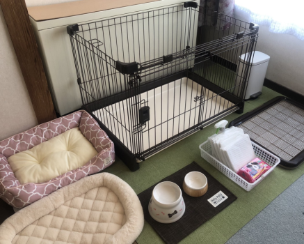 わんちゃん用客室備品一例です