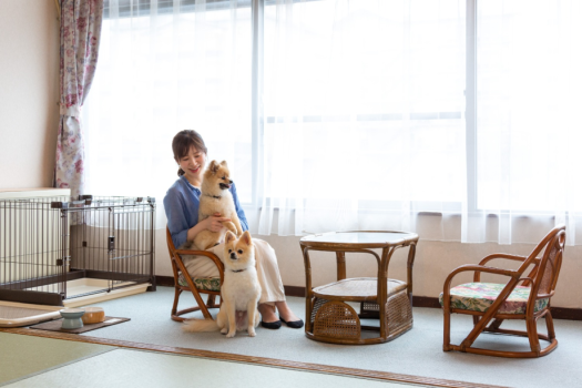 令和5年10月1日からは「わんちゃんと泊まる温泉宿」へ
大切な家族のわんちゃんとゆっくりお過ごしくださいませ♪