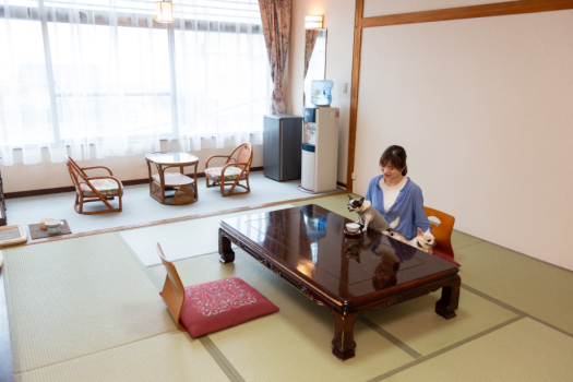 令和5年10月1日からは「わんちゃんと泊まる温泉宿」へ
大切な家族のわんちゃんとゆっくりお過ごしくださいませ♪