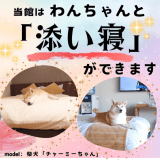 全室わんちゃんと添い寝ができます☆彡