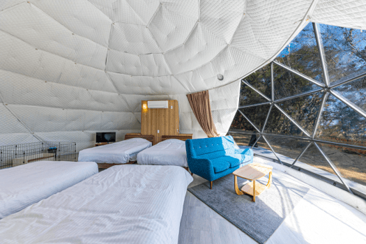 [Pets allowed (only dogs)] glamping dome