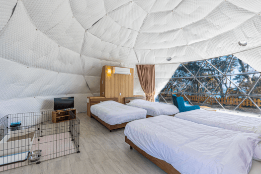 [Pets allowed (only dogs)] glamping dome